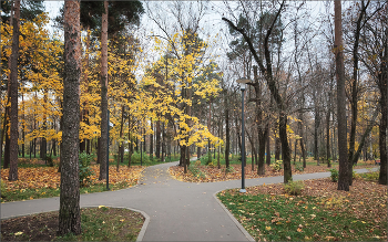 Im Herbst des Parks ... / ***