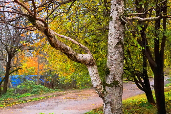 Letzter Tag des Herbstes / ***