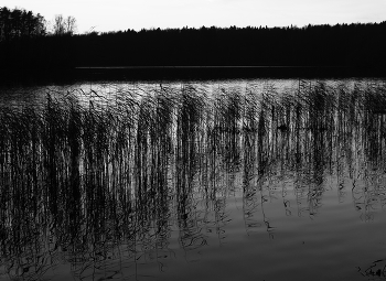 {[]} / Schwarz / Weiß