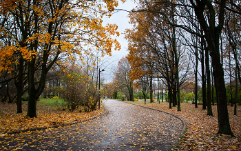Im Herbst des Parks ... / ***