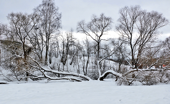 Winterlandschaft / ***
