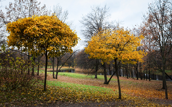 Im Herbst des Parks ... / ***