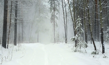 Schnee und Wind / ***