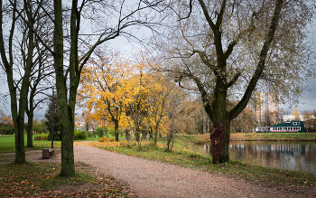 Im Herbst des Parks ... / ***