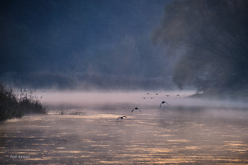 on the Warta River / It's good to get out of the house sometimes