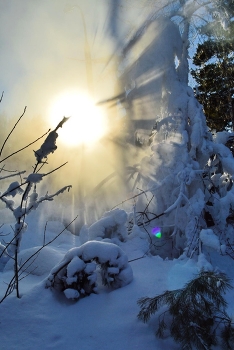 New Day / ***