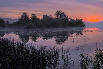 Herbstmorgen. / ***