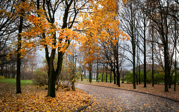 Im Herbst des Parks ... / ***