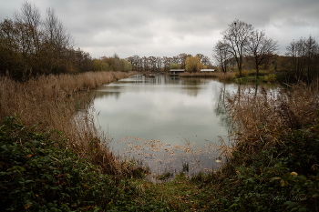 Herbst im Quadrat / ***