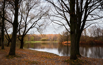 Im Herbst des Parks ... / ***