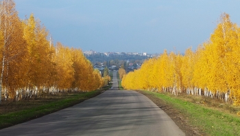 Goldener Herbst / ***