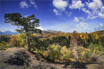 On Seven Winds / ***