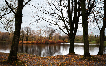 Im Herbst des Parks ... / ***