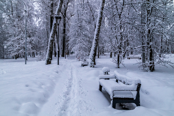 Winter Park / ***