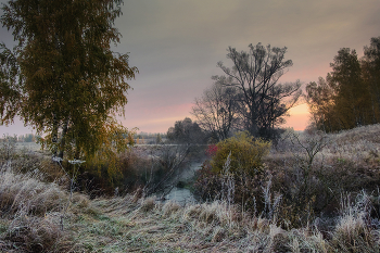 Die ersten Frost / ***