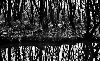 Nebel zerstreut / ***