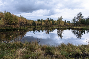 Reflexion der Herbst / ***