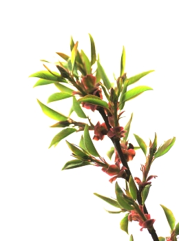 &nbsp; / .................