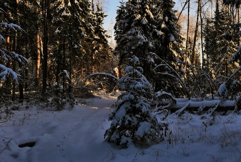 Abenddämmerung / ***