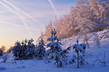 Frost und Sonne! / ***