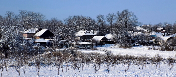Winter / ***