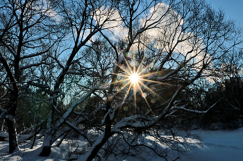 Frost und Sonne - einen wundervollen Tag! / ***