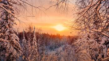 Nebel zerstreut / ***