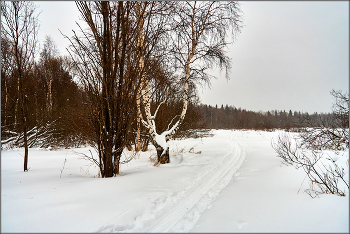 Winterwald. / ***