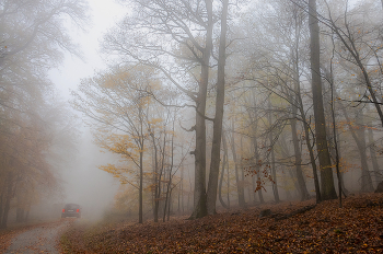 Herbst / ...