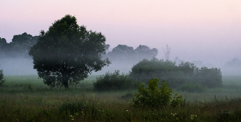 In dem Feld. / ***