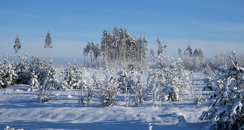 Wintertag / ***