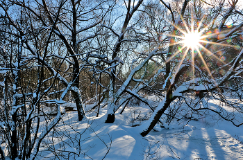 Frost und Sonne - einen wundervollen Tag! / ***