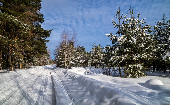 Februar-Morgen / ***