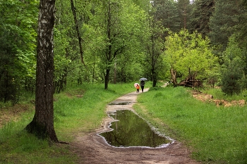 Frühling Geschichte / ***