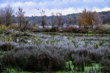 Herbst / ***