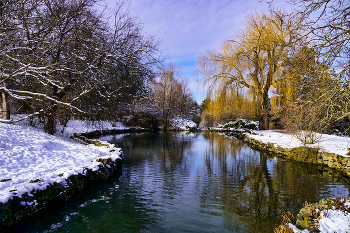 Winter-Teich / ***