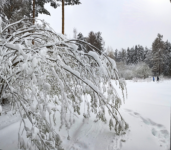 Rückkehr des Winters / ***