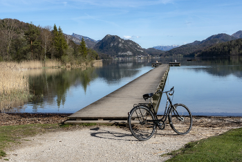 Sketch mit dem Fahrrad / ***