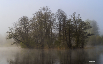 Morgendämmerung / ***