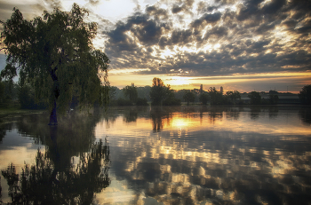 Nebel zerstreut / ***