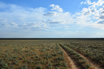 Steppe / ***