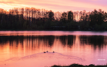 Vor Sonnenaufgang / ***