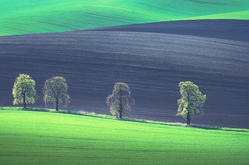 Mähren / ***