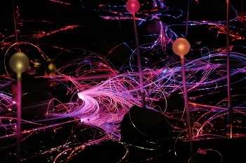 Field of Light at Freedom Plaza / ***