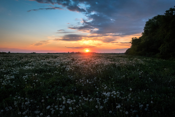 bei Sonnenuntergang / ***