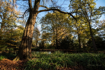 Der Park ... / ***