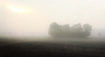 Morning ... / ***