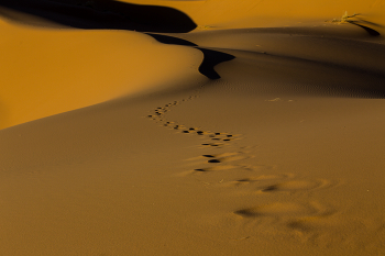 ..die marokkanische Wüste.. / ..das Foto ist auf einer Rundreise in Marokko entstanden..**