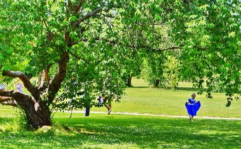 Frühling im Park / ***