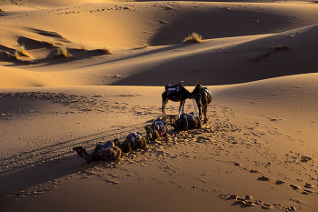 ..in der Sahara... / ...aufgenommen während meiner Marokkoreise..